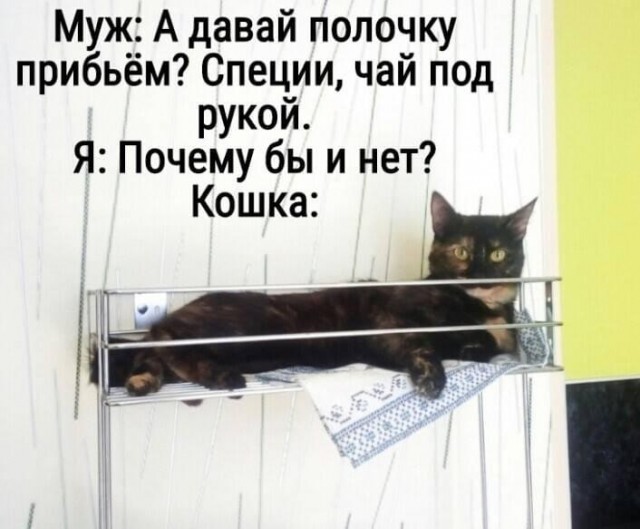 Картинки и мемы для настроения - 17