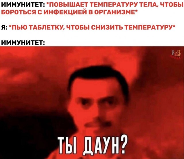 Разнообразного характера мемы