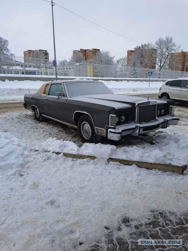 Каспер\Сиськи