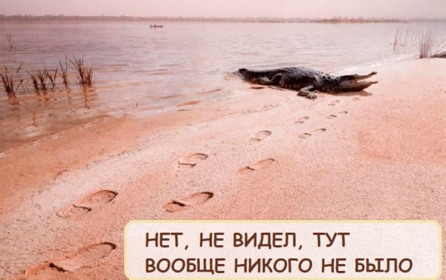 Забавные комментарии из социальных сетей (12.12.22)