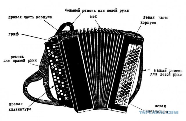 Деревня удивляет