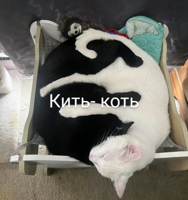 Немного картинок для настроения