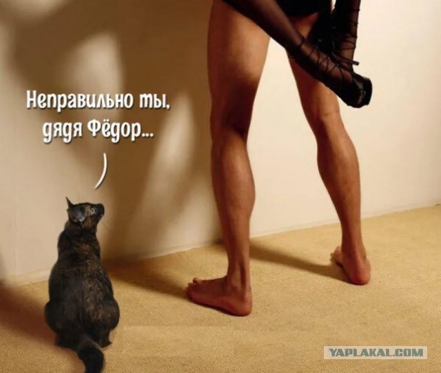 Пятница. И немного слегка пошлых картинок с надписями и без 16+ (13.01)