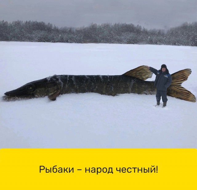 67 разных картинок для настроения - 7