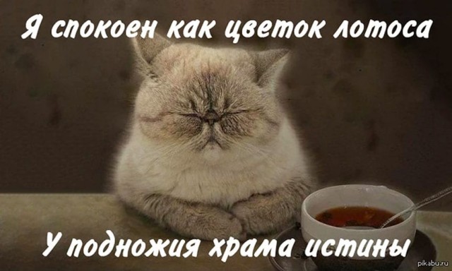 Инспекторы ДПС задержали агрессивного охотника из Кыргызстана