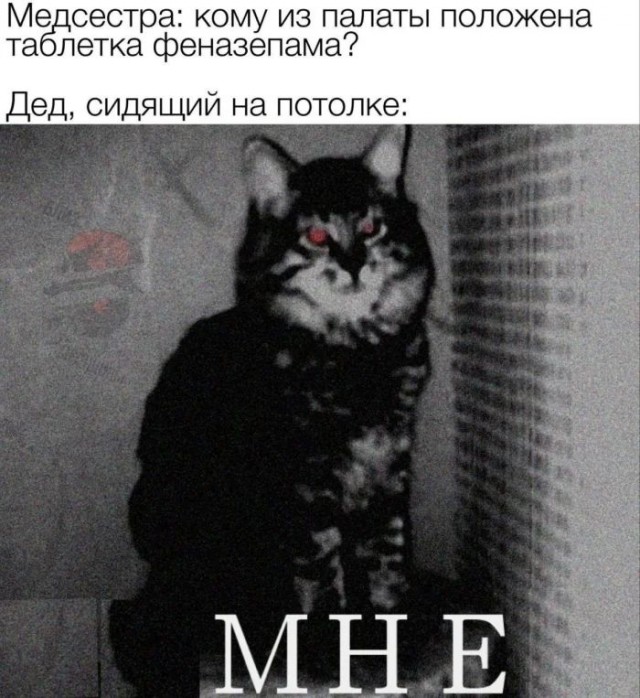 Приколы с налетом деградации