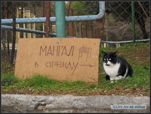 Всем срочно улыбаться!