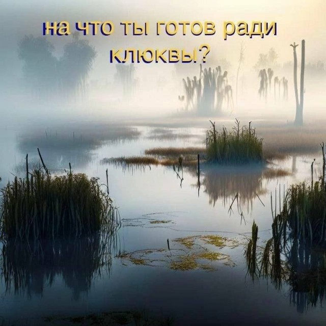 Картинок разной степени еб@нутости пост.