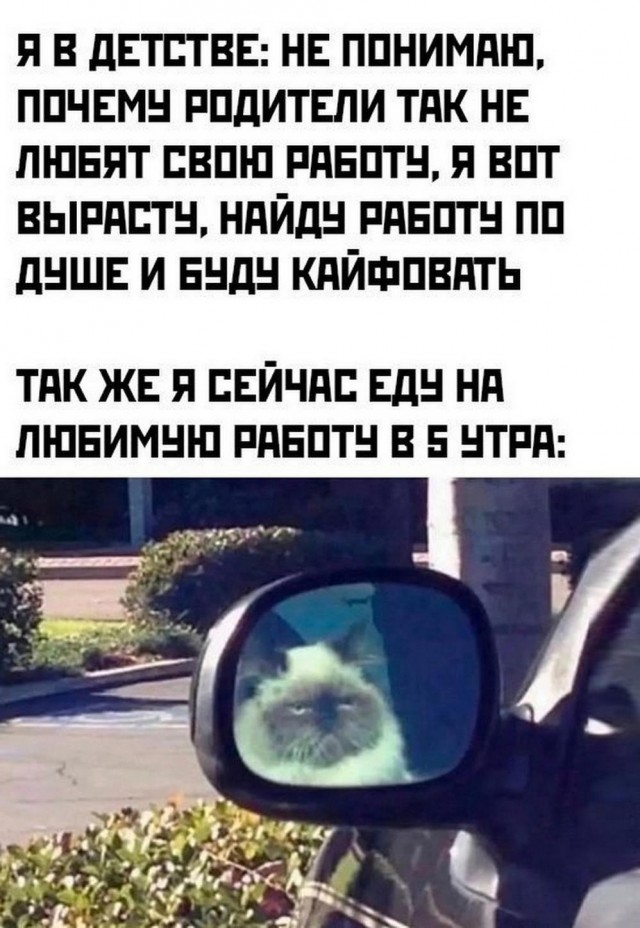 Картинки всяческие от 31.01.2024