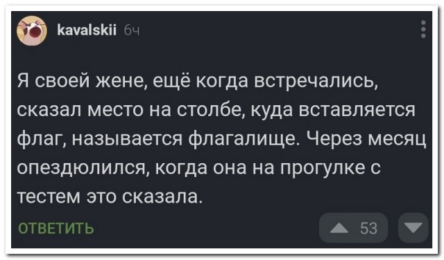 Забавные комментарии из социальных сетей (22.04.24)