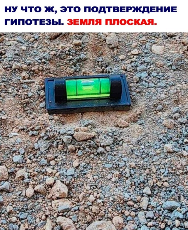 Весёлый полтишок 19.09.24