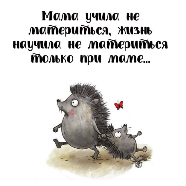 Так себе картинки 27.09.24