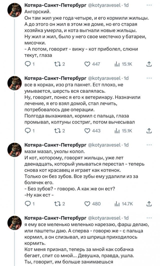 Зато он спас кота