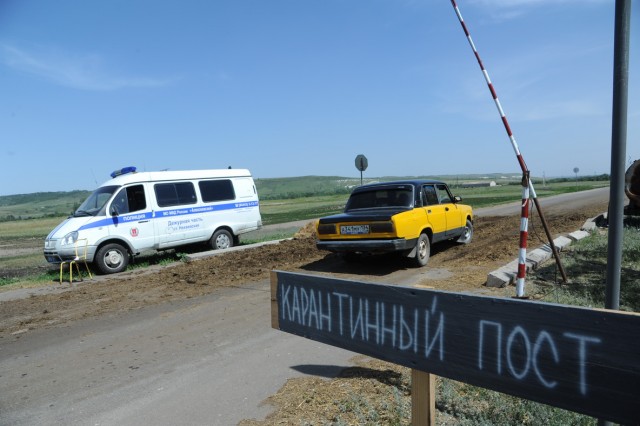 Как выжить незваных гостей?