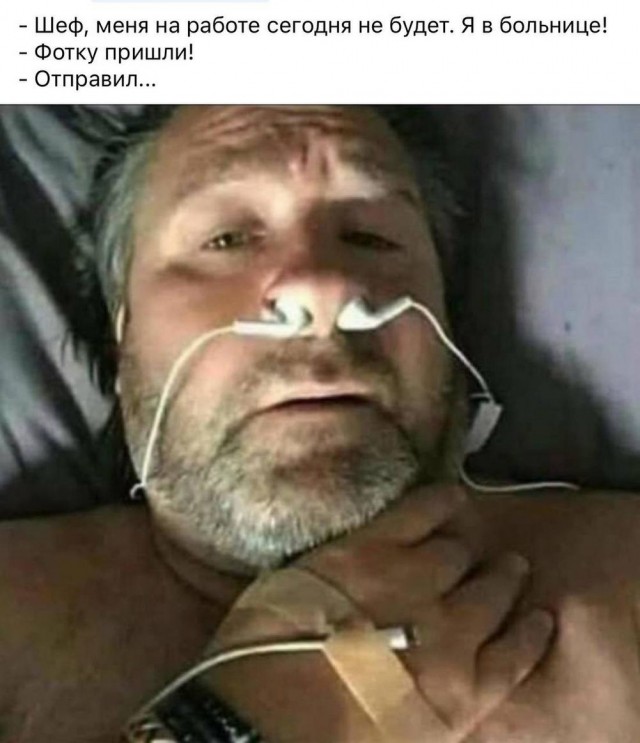 Гнездо параноика (Бояны)