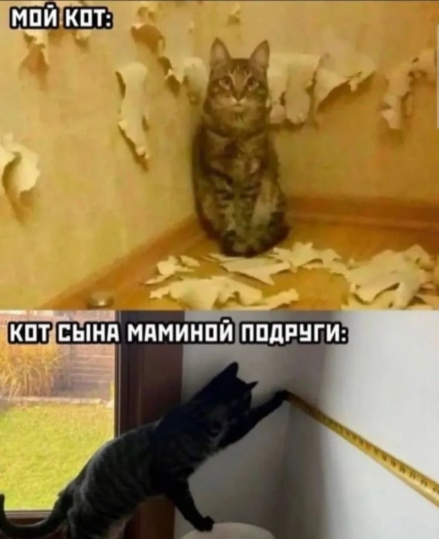 Завалялось тут случайно немного забавных картинок