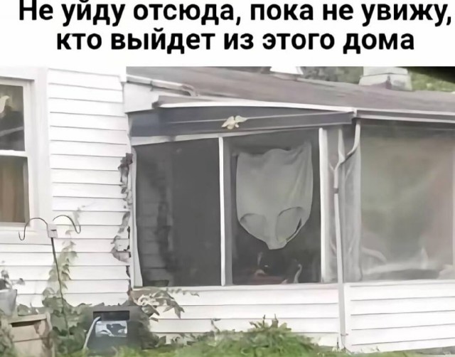 Картинки ниапчём и обо всём