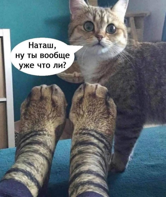 Завалялось тут случайно немного забавных картинок