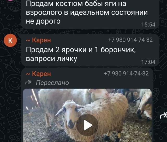 Прачечная? х%@чечная! министерство культуры!