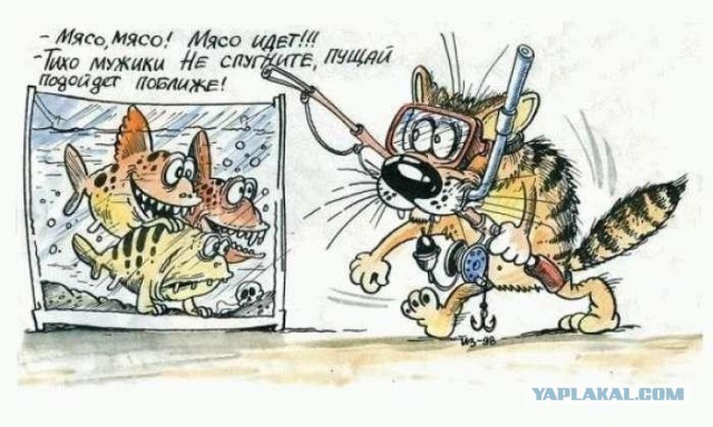 Кот-рыболов