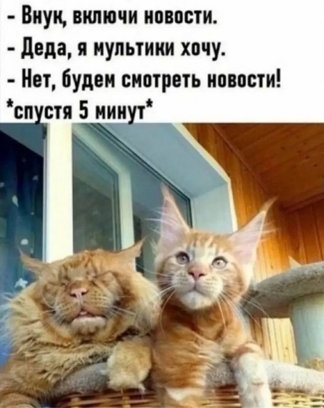 Завалялось тут случайно немного забавных картинок