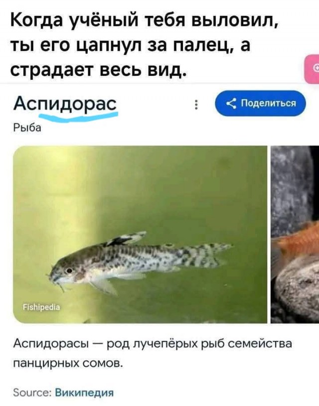 Немного деградации
