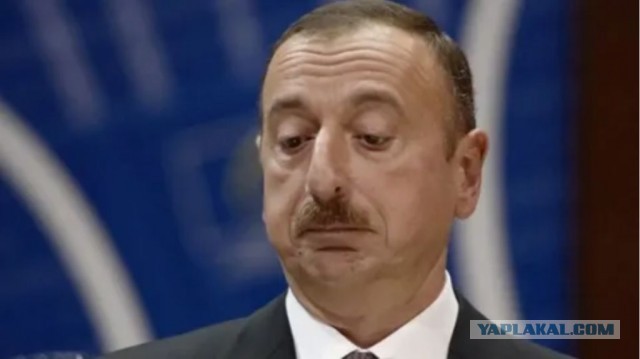 В Азербайджане тонны помидоров гниют на полях