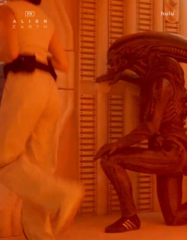 Это реальный кадр со съёмок нового сериала.