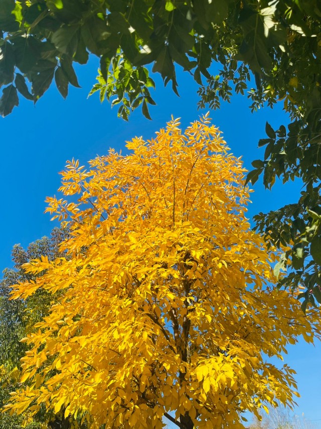 Картинки субботнего утра