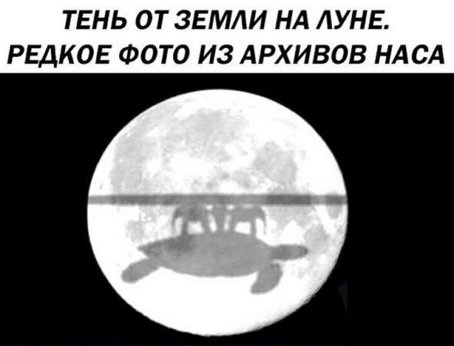 Слонов и черепахи не видно, они с обратной стороны