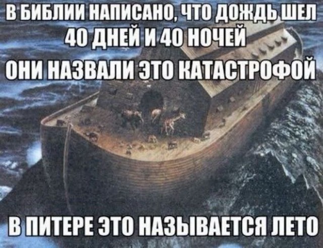 Картиночки, баянчики 08 декабря