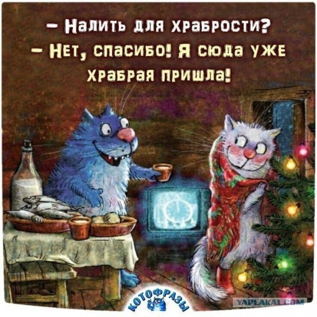 Прикольные и просто красивые картинки 12.12.2025
