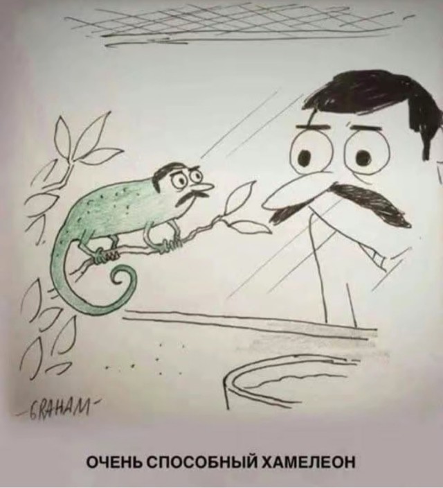 Воскресные картинки