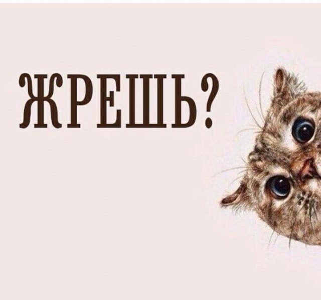 Опять без меня?