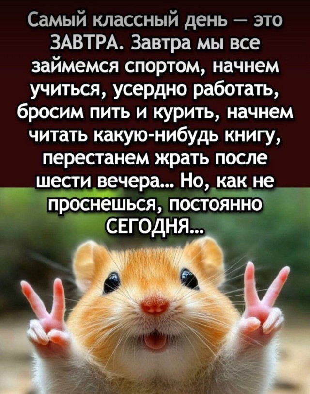 Забавные картинки, шутки из этих ваших интернетов
