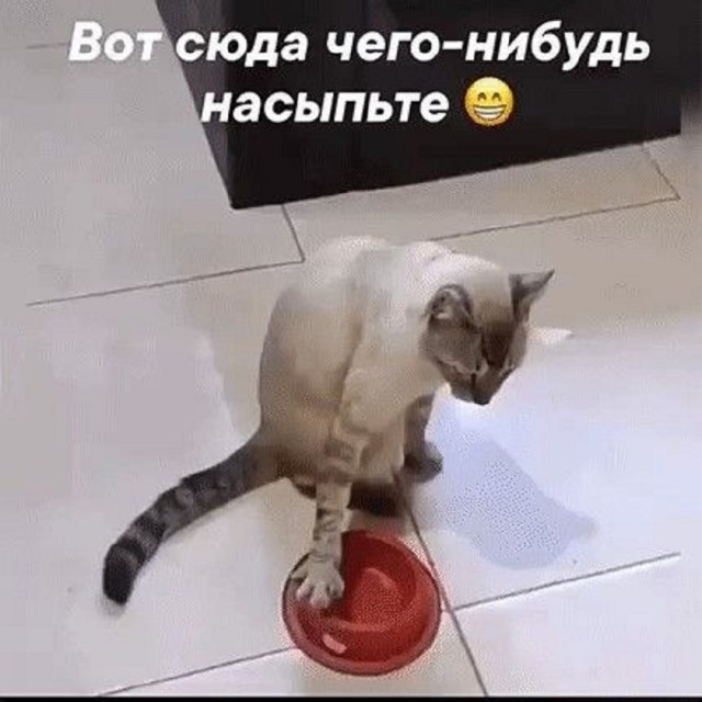Так себе картинки 29.01.26