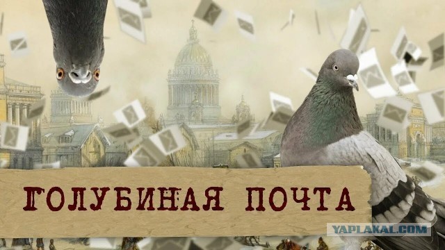 В связи с блокировкой всего и вся, семафорная азбука нам может скоро всем пригодиться.