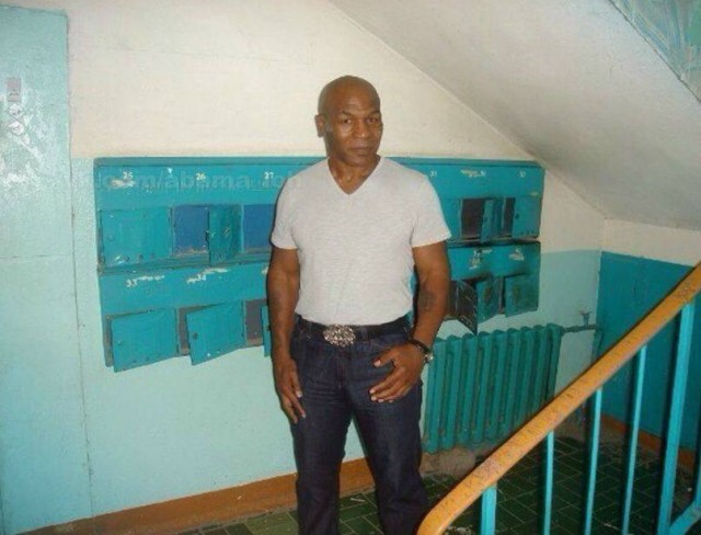 Картинки для деградации 153 (разной степени свежести)