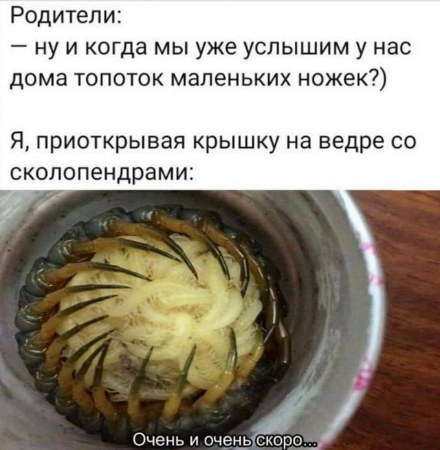 Картиночки, баянчики 09 апреля