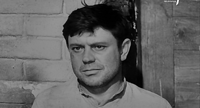 28 апреля родился Донатас Банионис