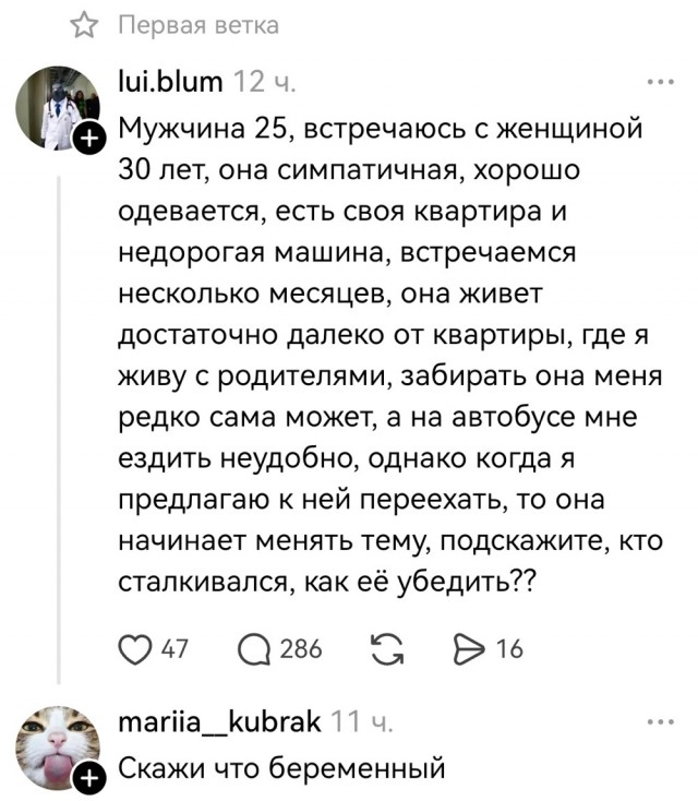Воскресные картинки