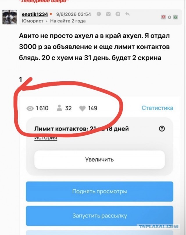 Новая "фишка" от Авито?