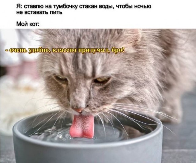 Картиночки, баянчики 29 июня