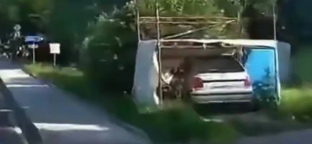 «Совет вам, да любовь!»