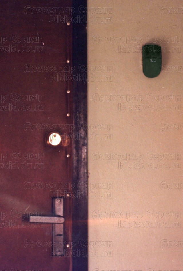 Дверной звонок гика