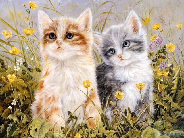 Рисованный котовторник