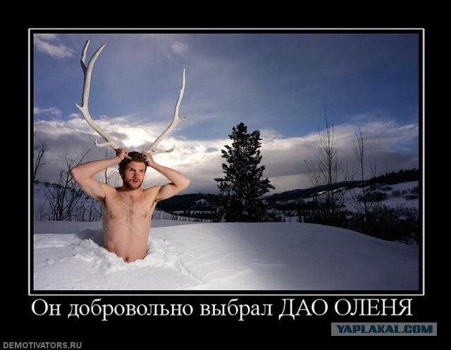 Всем зеленки!