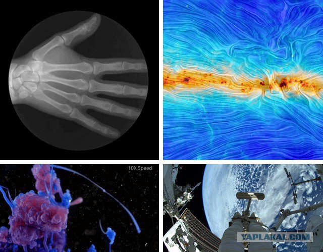 Самые удивительные научные изображения 2014 года