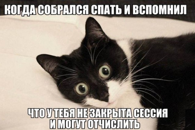 Немного о студентках
