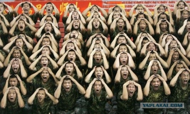 Попросили нарисовать рисунок с фото.